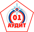 Логотип Аудит-01